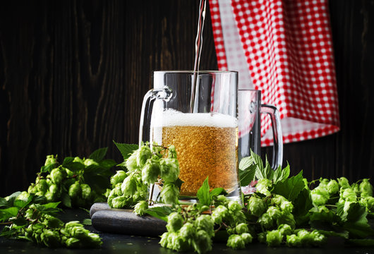 Large mugs with german light beer and fresh hops, pours into glass, dark table, selective focus
