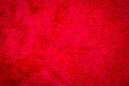 Red Fur Images – Browse 812,001 Stock Photos, Vectors, and Video