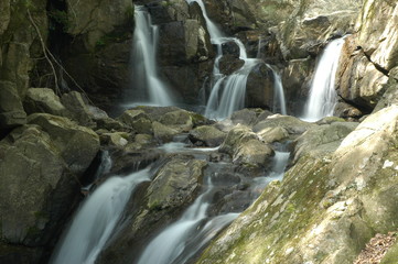 日本の滝_兵庫県_尼ン滝