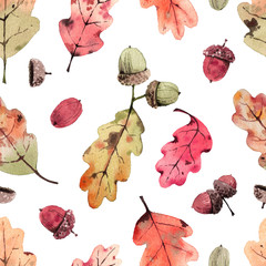 Pattern with watercolor oak leaves and acorns. - 220760631