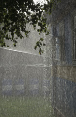 Streams of rain on the background of a farmhouse and birch branches