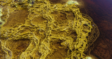 Yellow stromatolites illuminated by the sun and surrounded by red water by minerals