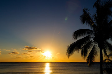 Fototapeta na wymiar Silhouette einer Palme vor dem Sonnenuntergang in Le Morne, Mauritius, Afrika.