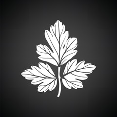 Parsley icon