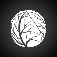 Cabbage icon