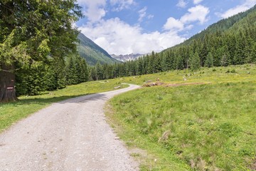 Fototapeta na wymiar Landschaft um dem Etrachsee in Österreich