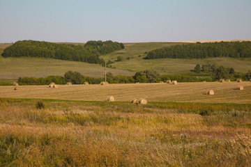 Fototapeta na wymiar Summer or autumn haystacks on the field