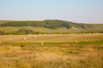 Fototapeta na wymiar Summer or autumn haystacks on the field