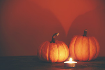 Halloween holiday background, Fresh pumpkins, art, craft, Space for text