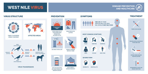 West nile virus infographic