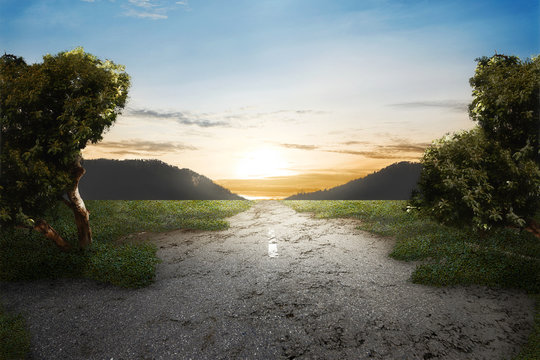 Green Grass On Abandoned Road