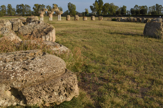 Tempio di Hera - Metaponto (Matera)