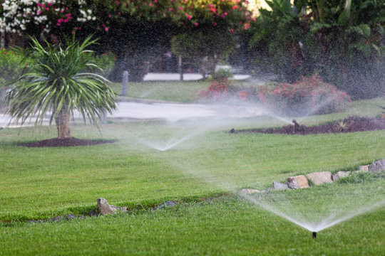 Water spray. Automatic lawn watering. Sprinkling