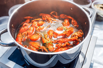 The cook prepares crawfish in boiling water in a pan
