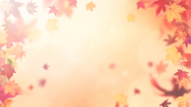 Abstract Autumn Backround With Soft Fall Colors