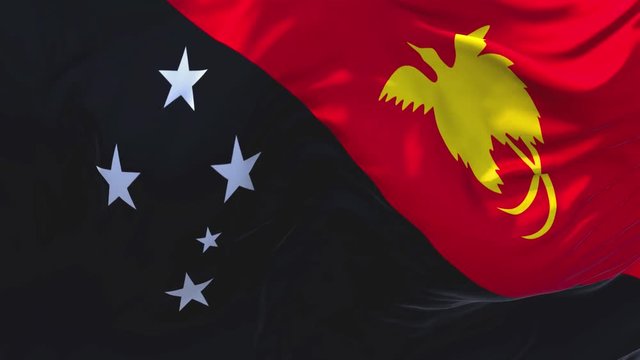 253. Papua New Guinea Flag Waving in Wind Slow Motion Animation . 4K Realistic Fabric Texture Flag Smooth Blowing on a windy day Continuous Seamless Loop Background.