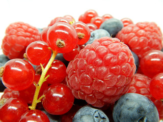 Assorted mix of berry fruits, raspberry, red currant, blueberry against a white background