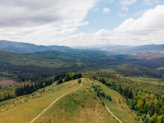 Fototapeta premium aerial view of green fields, trees and hills in arezzo province, Italy