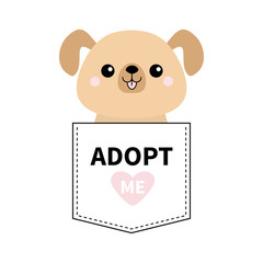 Adopt me. Dont buy. Dog in the pocket. Pet adoption. Puppy pooch Pink heart. Flat design. Help homeless animal concept. White background. Isolated.