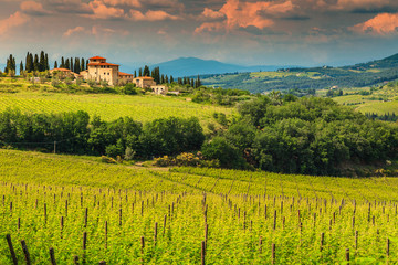 Fantastic vineyard landscape with stone house, Tuscany, Italy, Europe