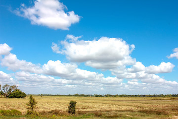 Fototapeta na wymiar White clouds in the sky in a field with a canal.