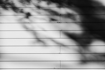 White shiplap sunlit with deep shadows from trees.