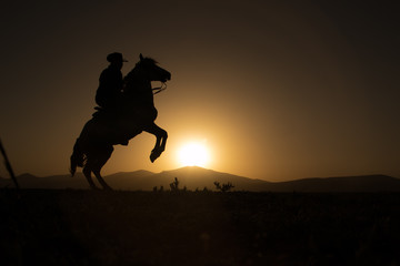 Fototapeta na wymiar horse, cowboy, at sunset
