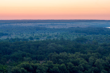 The vast space of forest in the early morning
