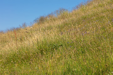 Green grass on the slope of a mountain against blue sky