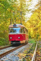 Obraz premium Red retro tram goes along the route