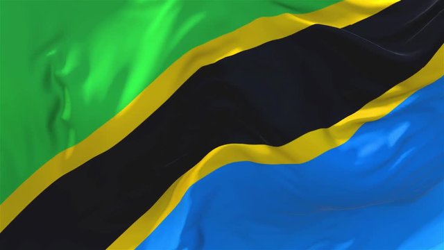 258. Tanzania Flag Waving in Wind Slow Motion Animation . 4K Realistic Fabric Texture Flag Smooth Blowing on a windy day Continuous Seamless Loop Background.