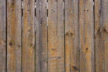 Fragment of old wooden rural fence of knotted planks with peeled paint and rusty nails