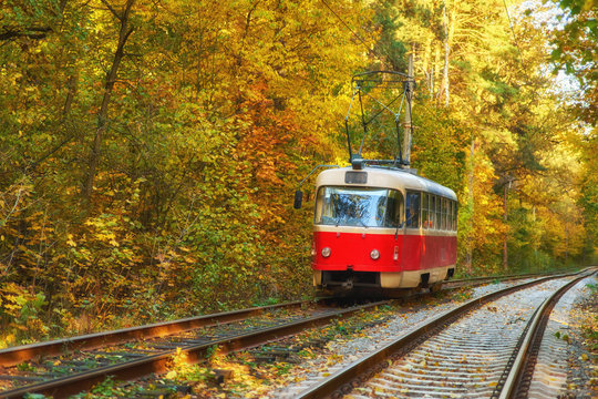 Tram with passengers departs from bus stop in city in early morning.