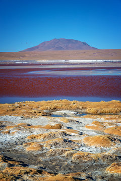 View of Laguna Colorada, colorful salt lake in Sur Lipez province, Potosi, Bolivia