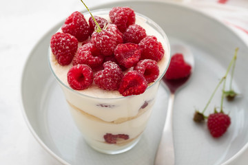 Tiramisu with raspberry in glasses on grey background. Italian dessert. Copy space.
