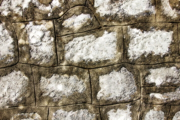 Background of stone fragments