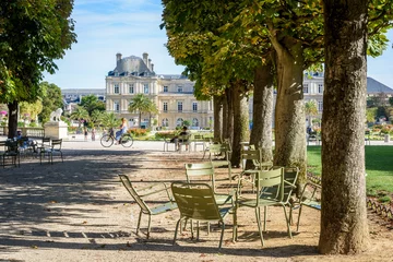 Foto auf Acrylglas Der Luxemburger Garten in Paris, Frankreich, an einem sonnigen Sommermorgen mit einer schattigen, von Bäumen gesäumten Gasse, Menschen, die Fahrrad fahren, spazieren gehen oder auf Metallstühlen ausruhen und das Luxemburger Schloss im Hintergrund. © olrat