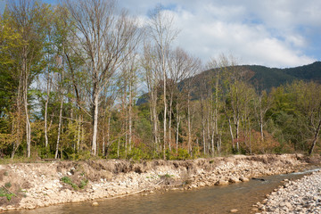 Bright autumn day on the forest river. Kurdzhips river in the Krasnodar region.