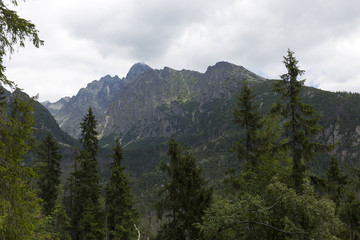 View on mountain Peaks and alpine Landscape of the High Tatras, Slovakia