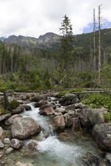 View on mountain Peaks and alpine Landscape of the High Tatras, Slovakia