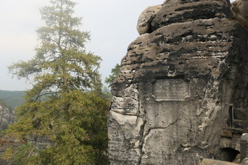 Mountan in Saxon Switzerland