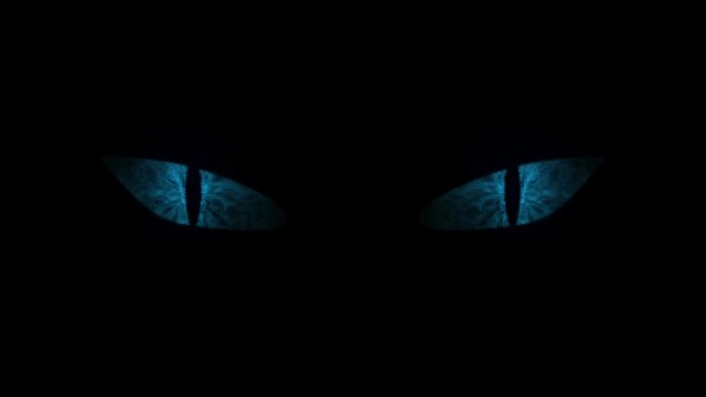 Blue cat eyes blinking Loop.