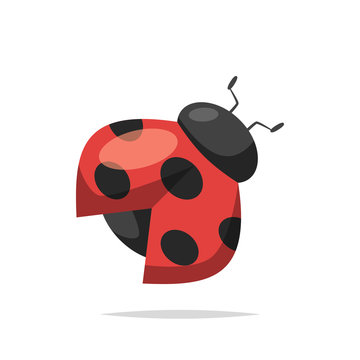 Ladybug vector isolated