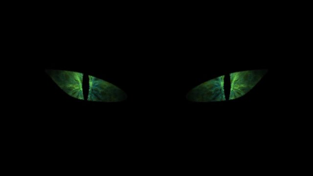 Green cat eyes blinking loop.