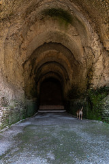 Deep ancient wet roman brick tunnel with gravel and a dog walking inside.