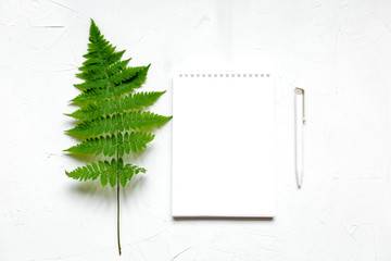 A branch of fern and a notebook on white, high key