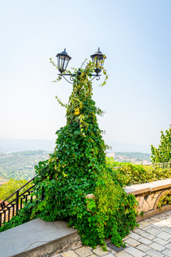 Vintage lamp post with two lanterns covered with thick green ivi creeper plant. Scenic landscape view in the background.