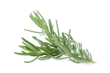 rosemary isolated on white background