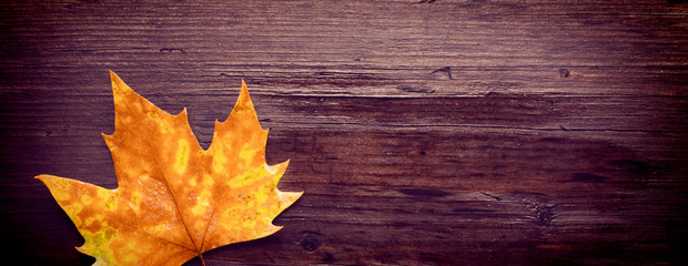 Dead leaves on wooden bench