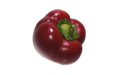 pepper isolated on white background